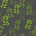 Green branches with leaves on dark gray background.